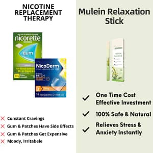 Mullein Relaxation Stick – Soothes Lungs, Detoxifies, Freshens Breath