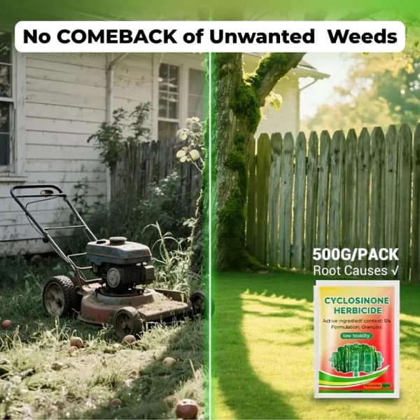 Cyclosinone Herbicide Granules 500gm