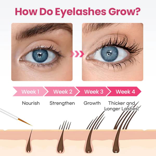 Biancat®Peptide Lash Growth Serum