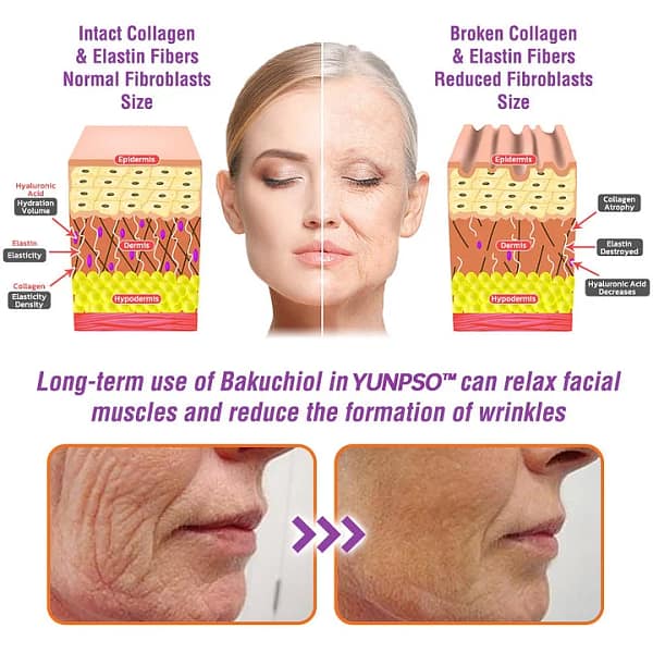 YUNPSO™ Queen Nectar Peptide + Bakuchiol Skin Restoration Cream