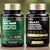 PurfectFuel Blend®
