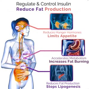 FormFlex™ | Drop 8kg & Flatten Your Belly in Just 10 Days
