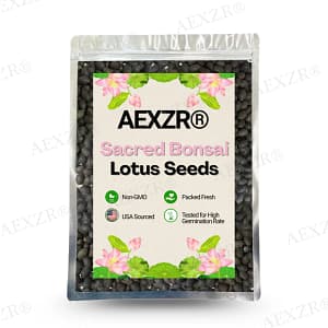 AEXZR® Sacred Bonsai Lotus Seeds