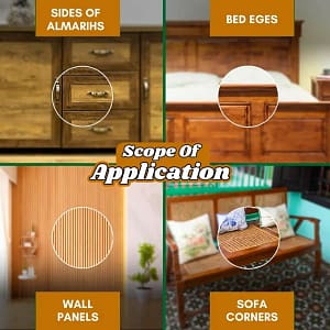 Termite Killer Spray – Effective Pest solution for your home