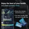 Peak Shilajit® SHILAJIT GUMMY PLATINUM