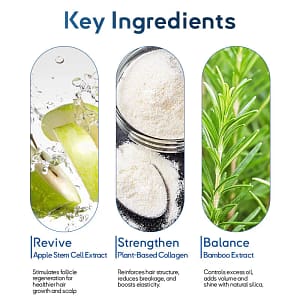Rolimey® Stem Cell Hair Cycle Roller