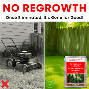LIMETOW® Cyclosinone Herbicide Water Dispersible Granules