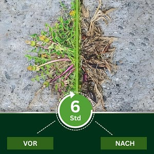 AEXZR® 2-in-1 Max Power Herbicide