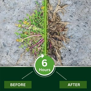Piguiay® 2 in 1 Max Power Herbicide