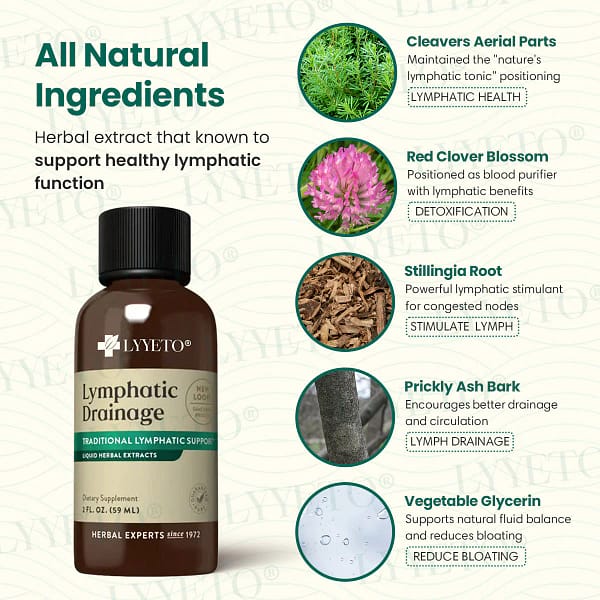 Lyyeto® Lymphatic Drainage with Liquid Herbal Extract - Image 5