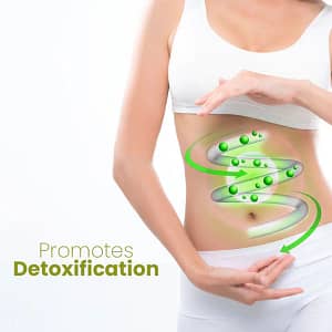 Fivfivgo™ HerbalFirm Cellulite Reduction Patches