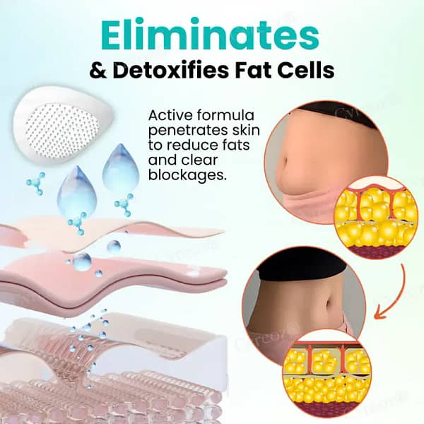 Cvreoz® SMGT-GLP-1 Nano Microneedle Patch