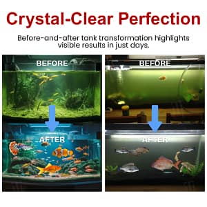 AEXZR® AquaImmune Pro