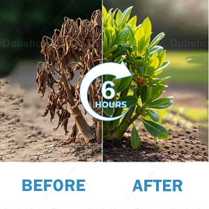 AAFQ® GrowBack Miracle Tonic