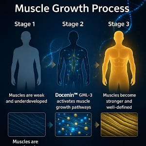 Docenin™ GML-3 Six-in-One Muscle Growth Oral Solution