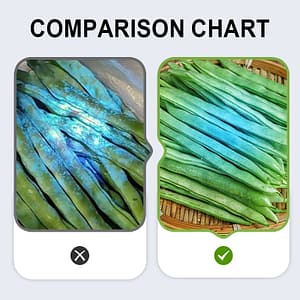 Billhol® UV Black Light Flashlight for Vegetable Inspection